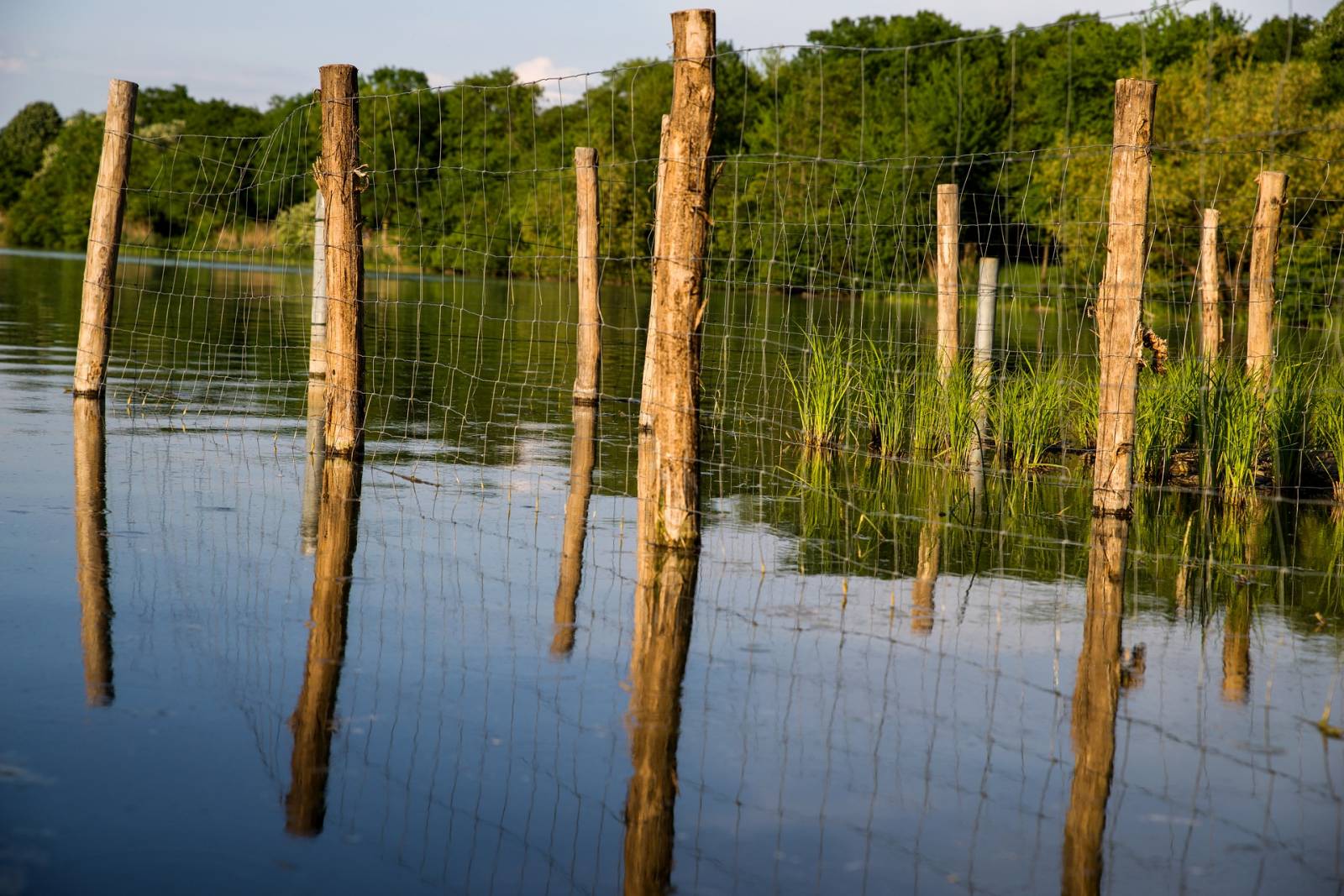 cloture pour pature et elevage poisson rouen, normandie