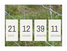 Grillage haute résistance galvanisé en promotion