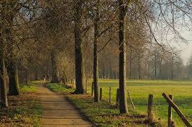 cloture agricole proche METZ