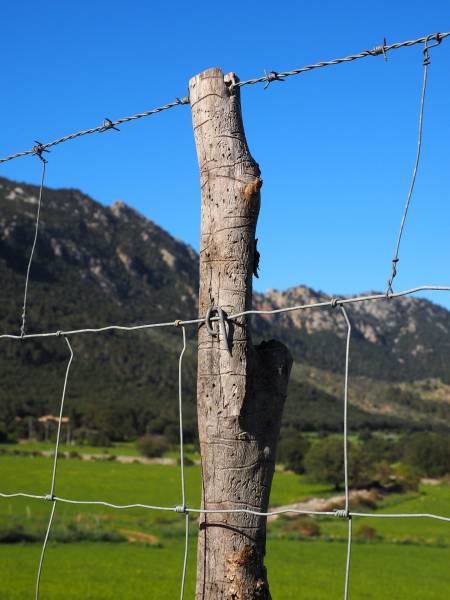 Clôture resistante pour un enclos à mouton près de Rouen 76
