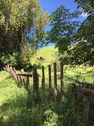 remplacement de cloture proche LYON (69)