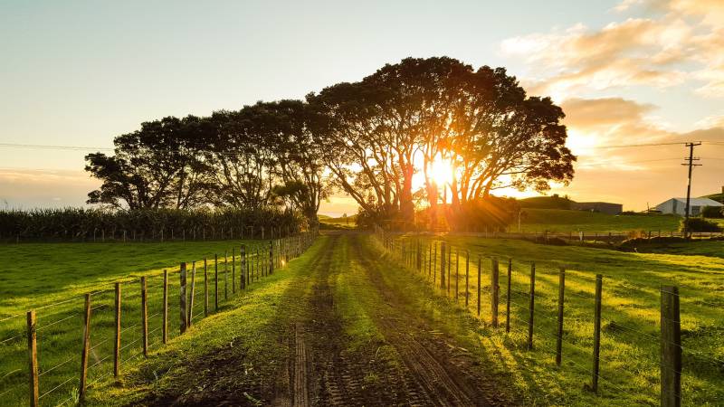 grillage agricole Champagne Ardenne proche Troyes (aube 10)