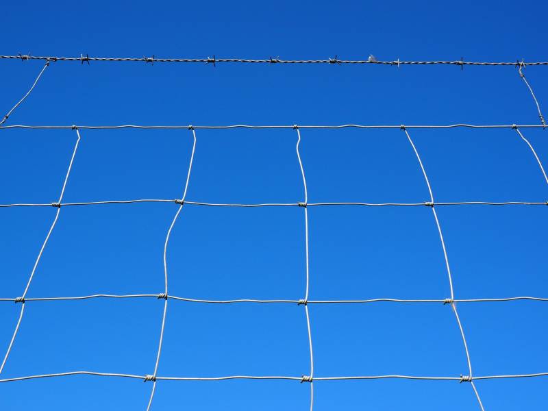 Délimiter des espaces dans un pré pour montons à Clermont Ferrand 63