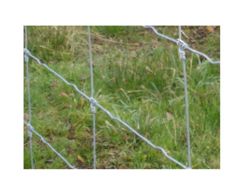 Modèle de clôture grillage haute résistance 2,40m de hauteur pour enclos de chasse près de Chartres dans l'Eure-et-Loir