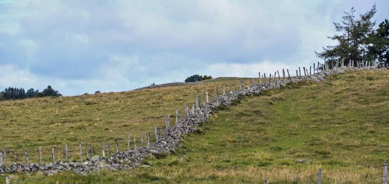 commande urgente fil de fer pour cloture sur muret Aubrac, Massif Central 