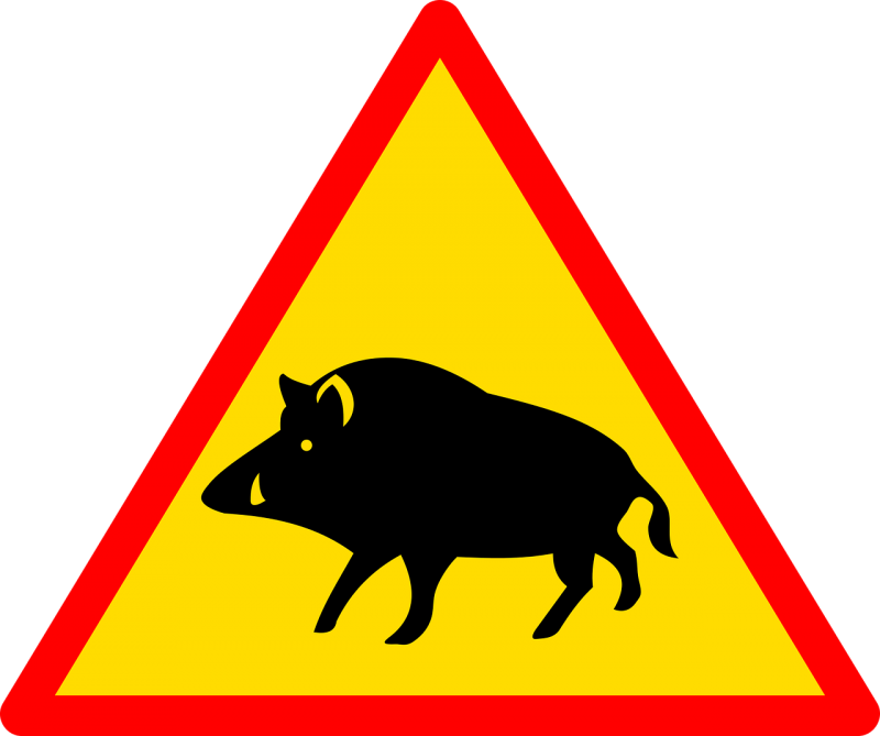 Grillage protection sanglier proche ROUEN, CAEN, EVREUX Haute Normandie et Basse Normandie